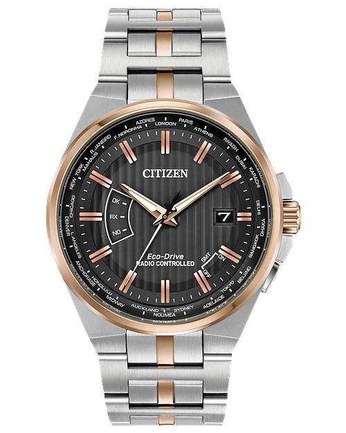 Citizen 2025 world perpetual